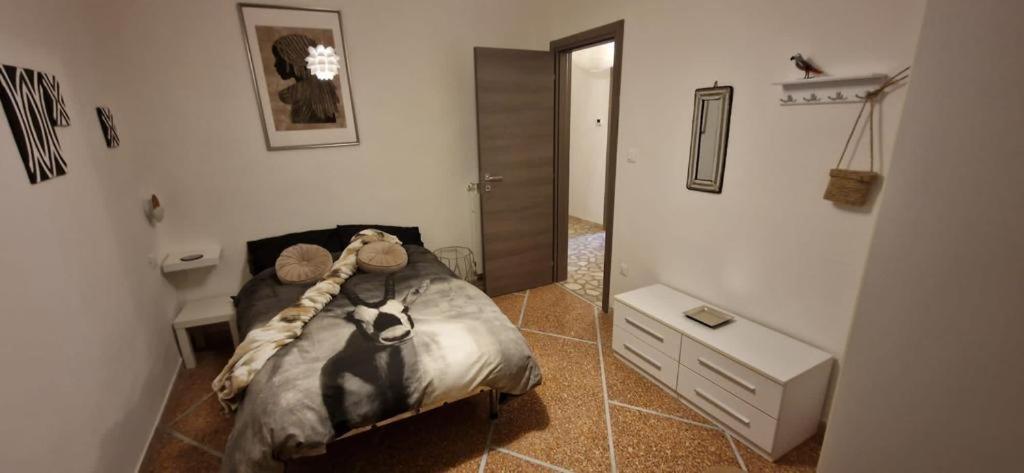 Migu Point Intero Appartamento بيزا المظهر الخارجي الصورة